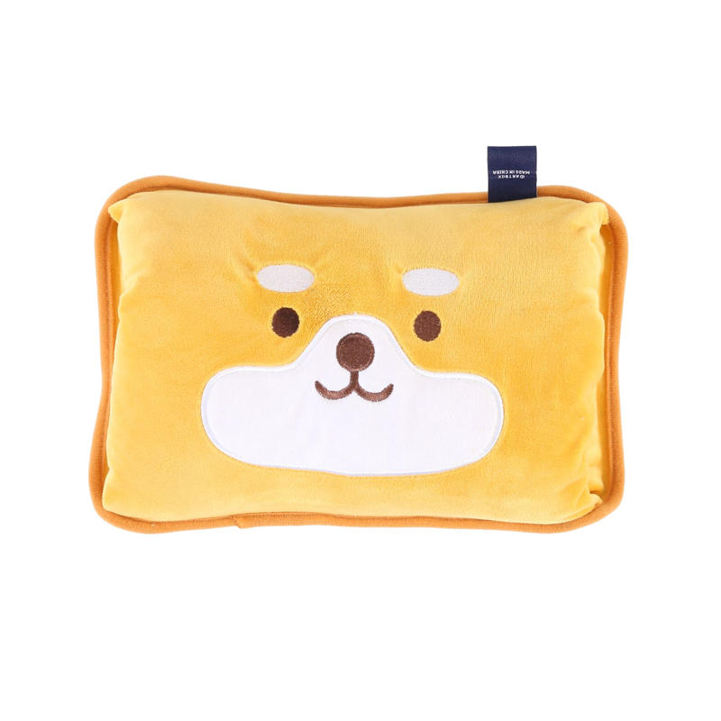 Cartoon electric explosion-proof hot water bag